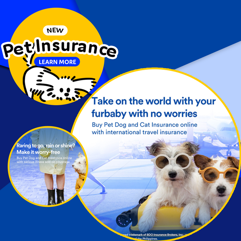 Pet express top dog tag