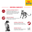 Royal Canin Feline Health Nutrition Adult Fit 32 Dry Cat Food 400g