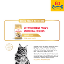 Royal Canin Feline Breed Nutrition Adult Maine Coon Dry Cat Food 400g