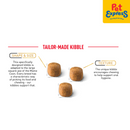 Royal Canin Feline Breed Nutrition Adult Maine Coon Dry Cat Food 400g
