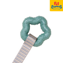 Lucky Dog Squeaky Paw Plush Teether Dog Toy Green