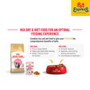 Royal Canin Feline Breed Nutrition Kitten Persian Dry Cat Food 400g