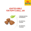 Royal Canin Size Health Nutrition Puppy X-Small Dry Dog Food 1.5kg