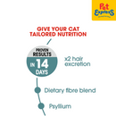 Royal Canin Feline Care Nutrition Adult Hairball Care Dry Cat Food 400g