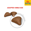 Royal Canin Feline Care Nutrition Adult Hairball Care Dry Cat Food 400g