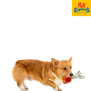 Approved Wacky Plush Squeaky Dog Toy Orange 1553