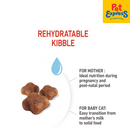 Royal Canin Feline Health Nutrition Mother and Baby Dry Cat Food 400g