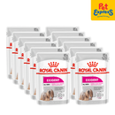 Royal Canin Canine Care Nutrition Exigent All Sizes Wet Dog Food 85g (12 pouches)