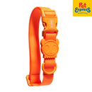 Zee.Dog Neopro Dog Collar Small Tangerine