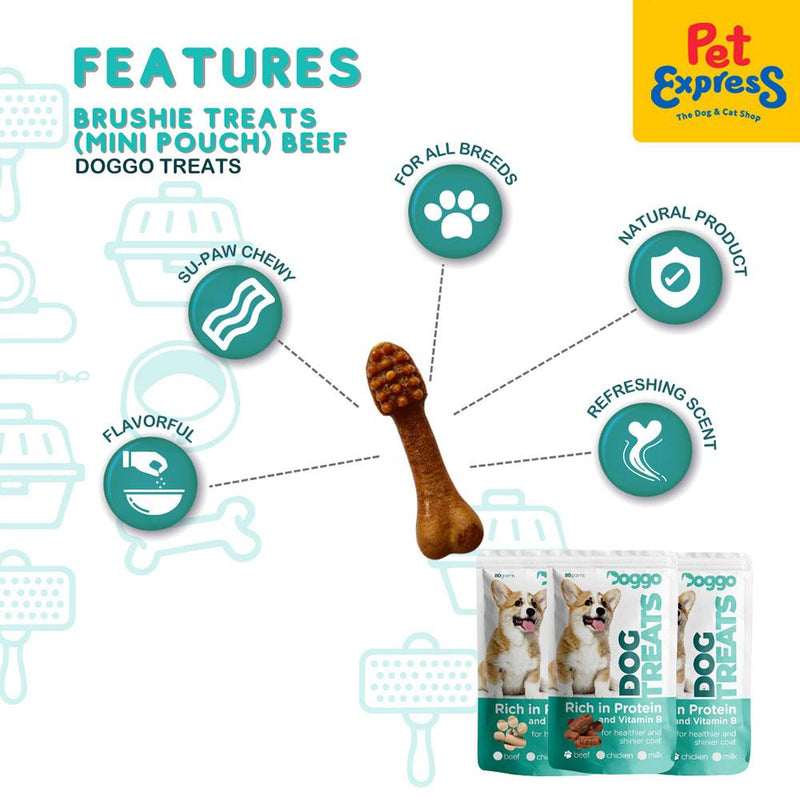 Doggo Brushie Chicken Dog Treats Mini Pouch 80g