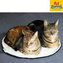 I Love Happy Cats Maeve - Round Plaid Black White