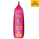 Power Cat Kitten Dry Cat Food 1.2kg