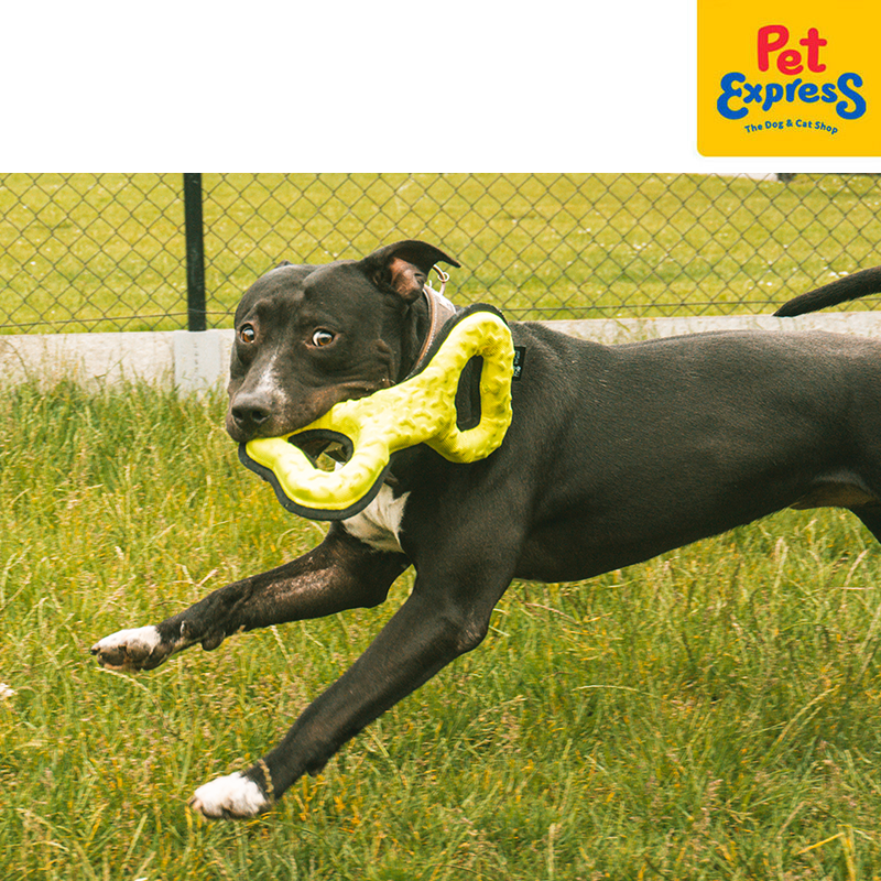 [FOR PRE-ORDER] Bite Me Tug-O-War - Twisted Dog Toy Yellow Green