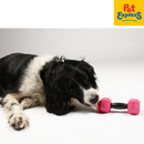 Bite Me For the Gainz - Dumbbell Dog Toy Large