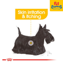 Royal Canin Canine Care Nutrition All Sizes Dermacomfort Wet Dog Food 85g (12 pouches)
