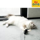 FOR PRE-ORDER I Love Happy Cats Jave - Spider Cat Toy Black