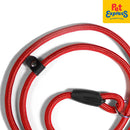 Doggo Nylon Dog Leash Red