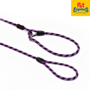 EzyDog Luca Dog Leash Purple