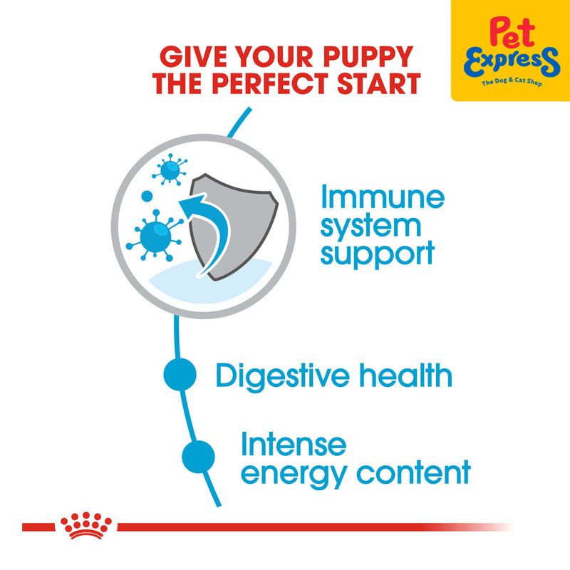 Royal Canin Size Health Nutrition Puppy Mini Dry Dog Food 800g