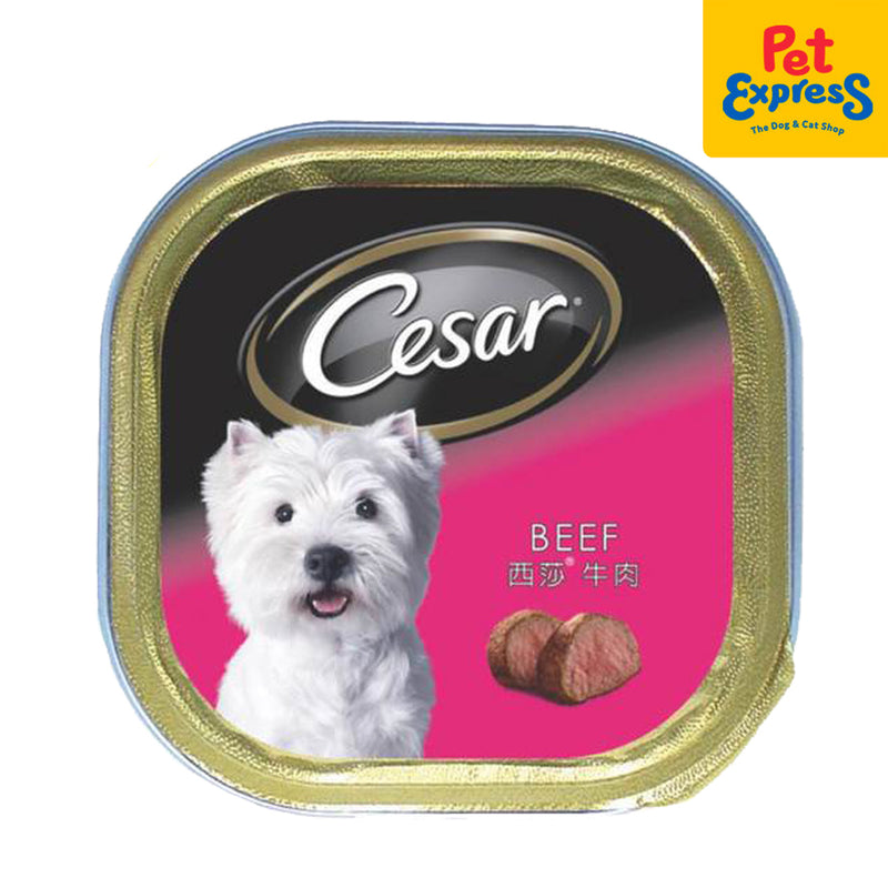 Cesar Adult Beef Wet Dog Food 100g (12 pcs)_front