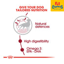 Royal Canin Size Health Nutrition Adult Medium Dry Dog Food 15kg (EXPIRATION DATE: APRIL 24, 2026)