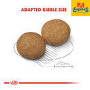 Royal Canin Size Health Nutrition Adult Medium Dry Dog Food 15kg (EXPIRATION DATE: APRIL 24, 2026)