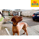 EzyDog Checkmate Dog Collar Small Black