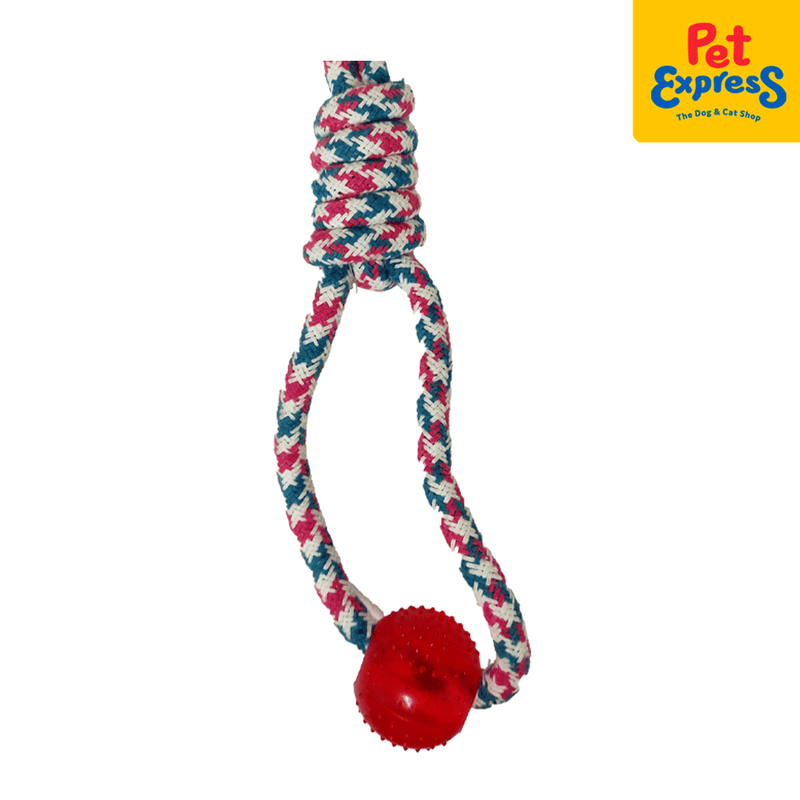 Approved Knotted Houndstooth Loop with Spike Ball Pink Blue Dog Toy_detail