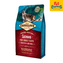 Carnilove Adult Salmon Sensitive and Long Hair Dry Cat Food 2kg
