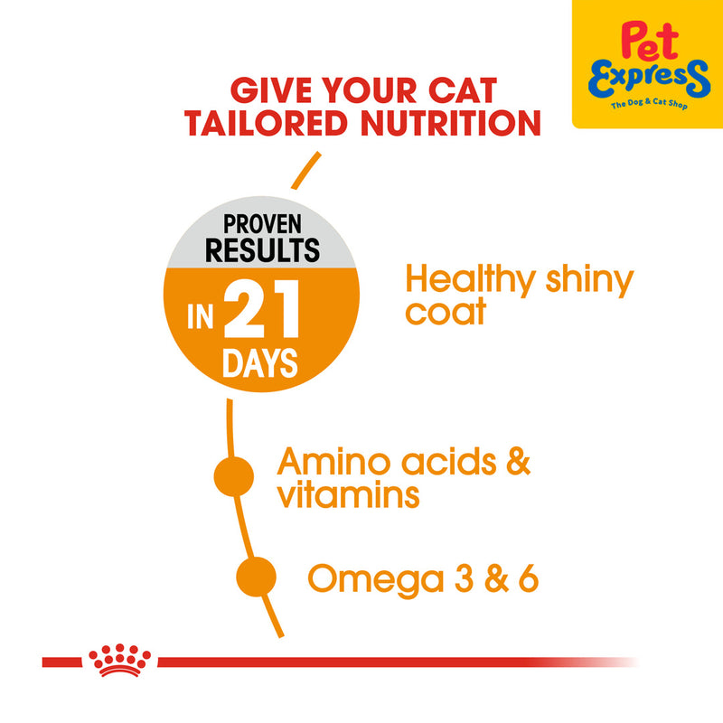 Royal Canin Feline Care Nutrition Adult Hair and Skin 33 Dry Cat Food 400g