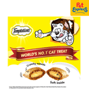 Temptations Salmon Cat Treats 75g