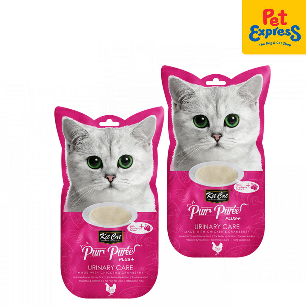Puree Plus Cap Kit Cat Purr Puree Plus Chicken Urinary Care Cat Treats 15gx4 (2 packs)