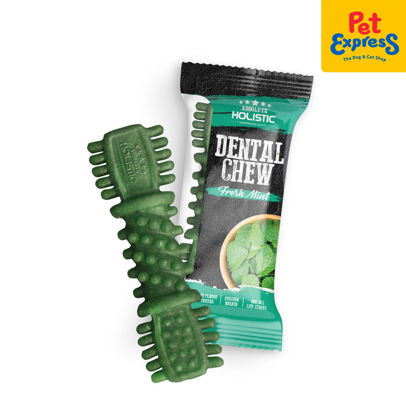 Holistic deals dog treats