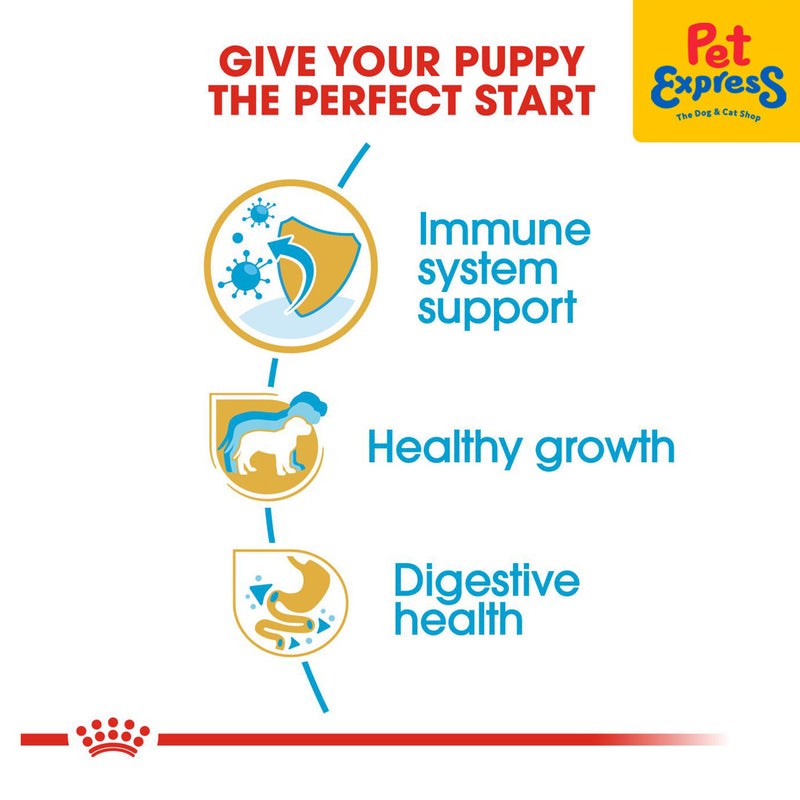 Royal Canin Breed Health Nutrition Puppy Jack Russel Terrier Dry Dog Food 1.5kg
