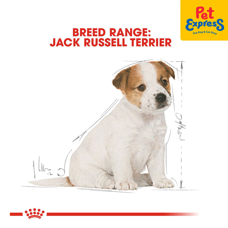 Royal Canin Breed Health Nutrition Puppy Jack Russel Terrier Dry Dog Food 1.5kg