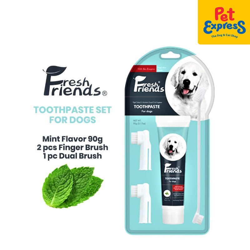 Fresh Friends Set of Mint Flavor Toothpaste 90g + 3 Toothbrush Dog Dental Care
