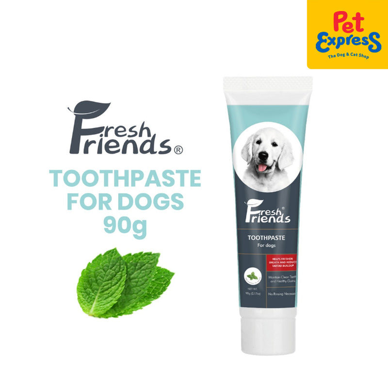 Fresh Friends Mint Toothpaste 90g