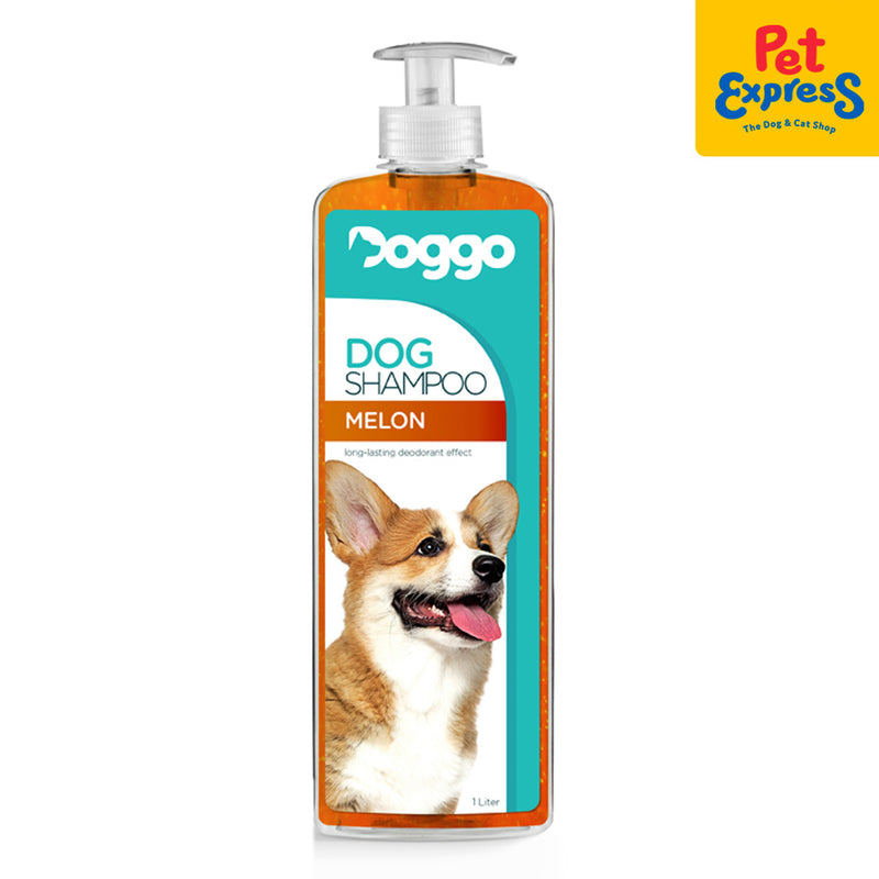 Doggo Dog Shampoo Melon Scent 1L