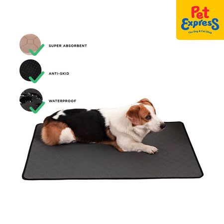 Pet Express Small Dog Pee Pads Pet Express Pee Pad Pet Express