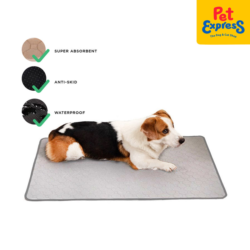 Pet Express Premium Washable Training Pad 50x70