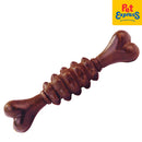 Dentalight Dent Fresh 360° Toothbrush Salmon Flaxseed Coat Care Dog Treats 18s 150g