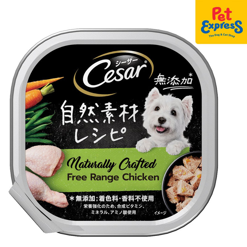 Cesar Naturally Crafted Chicken Wet Dog Food 85g (7 pcs)_front