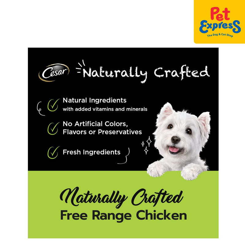 Cesar Naturally Crafted Chicken Wet Dog Food 85g (7 pcs)_info