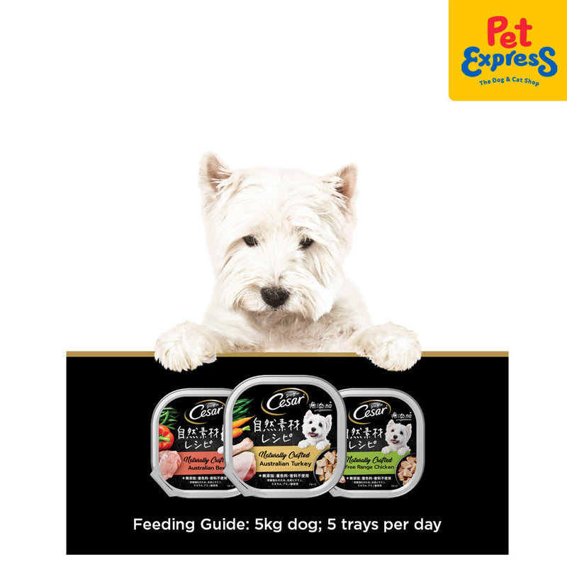 Cesar Naturally Crafted Beef Wet Dog Food 85g (7 pcs) Pet Express