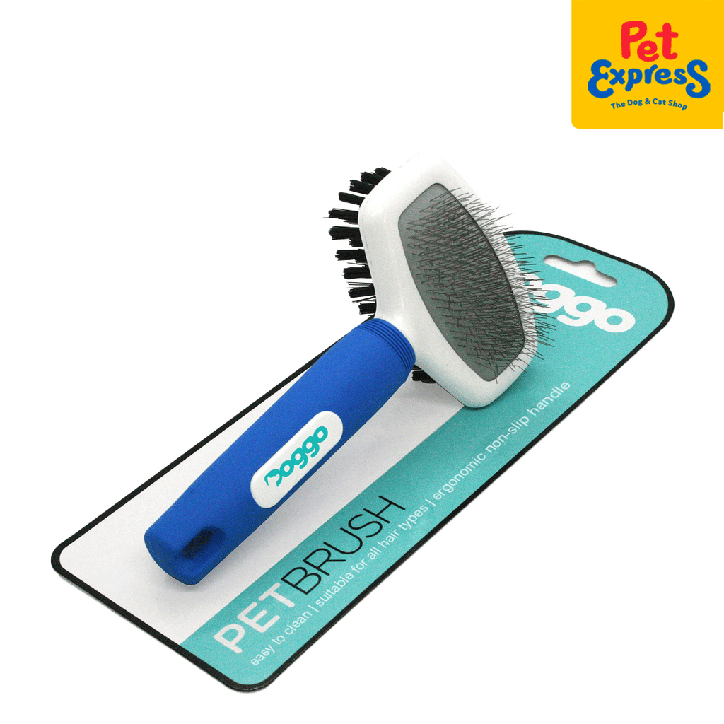 Easy brush outlet for dogs