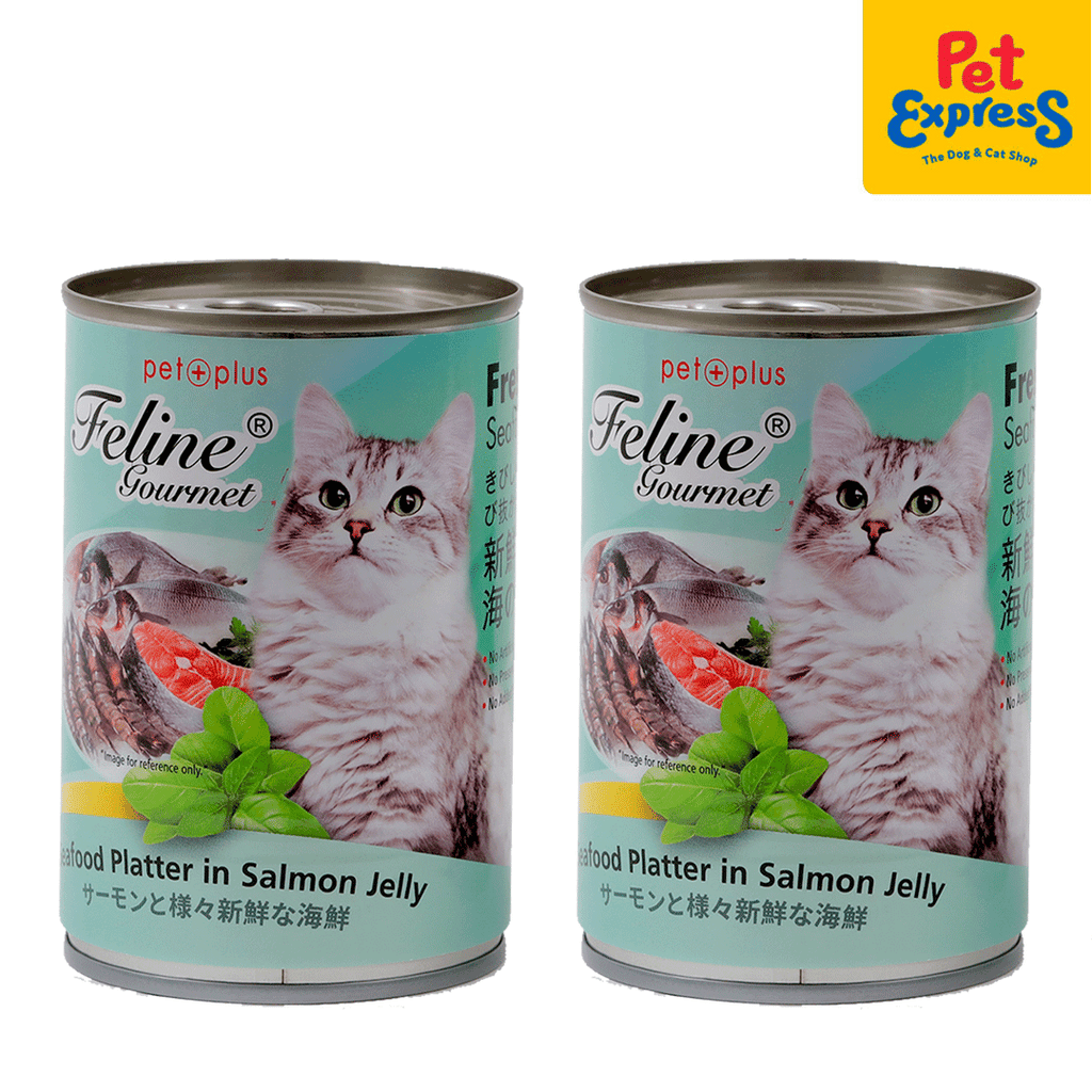 Gourmet cat food in jelly hotsell