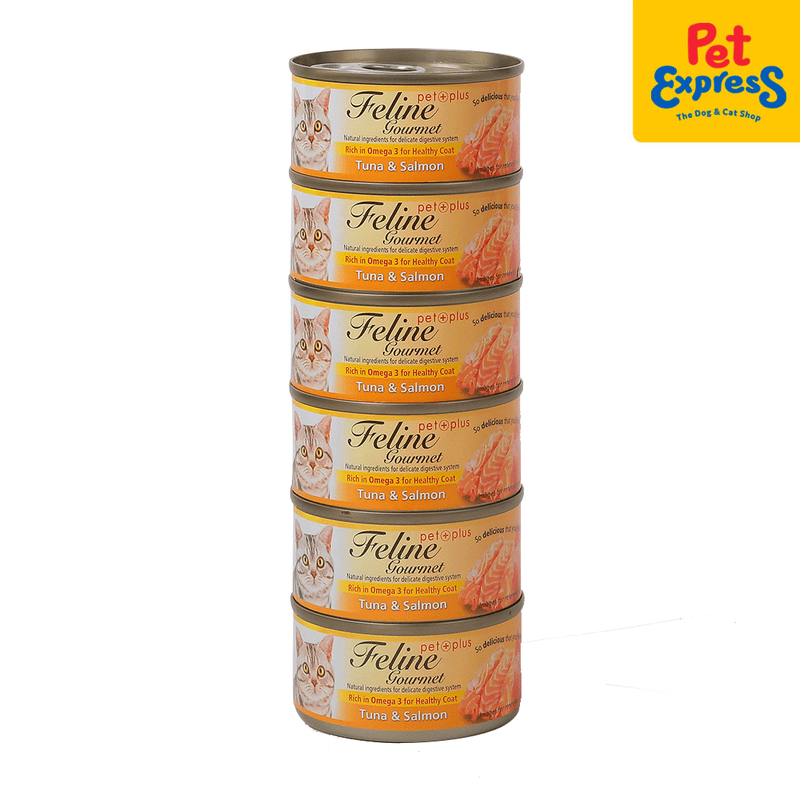 Feline Gourmet Tuna and Salmon Wet Cat Food 80g_6 cans