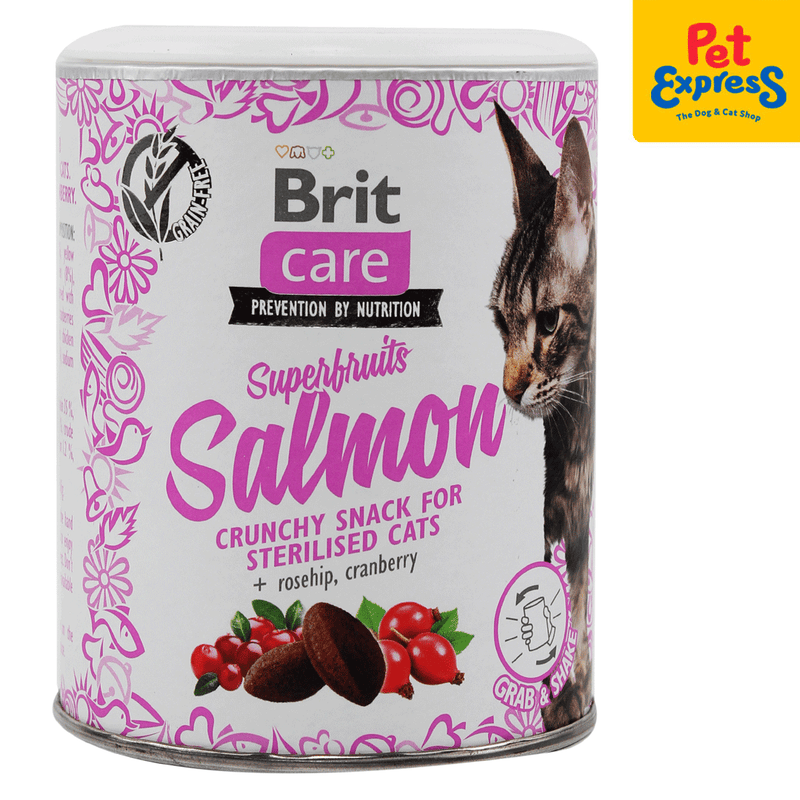 Cat sales salmon treats