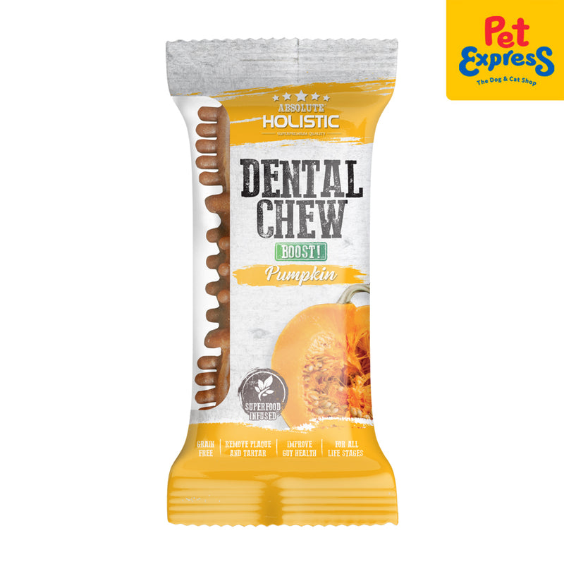 Absolute Holistic Dental Chew Pumpkin Dog Treats 25g