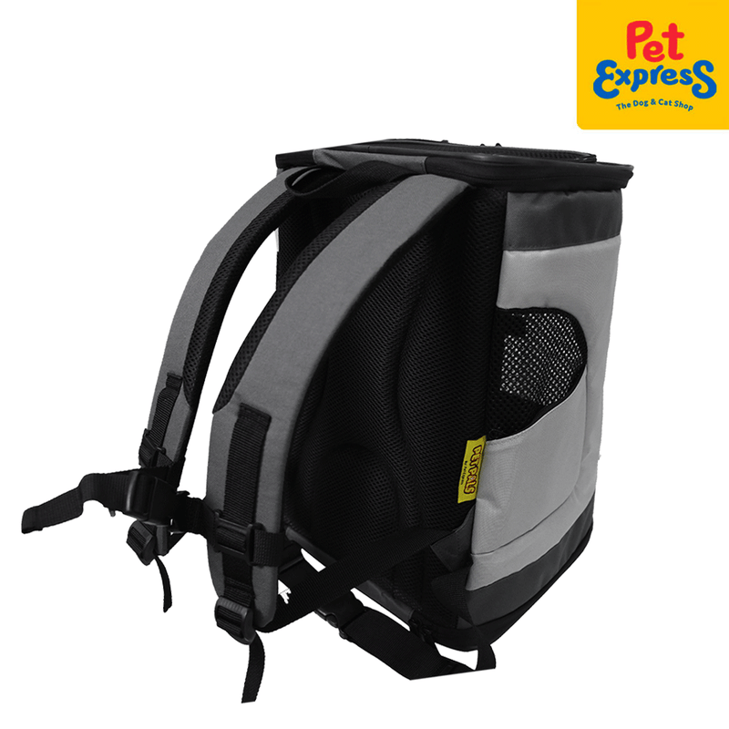 Carrier backpack best sale